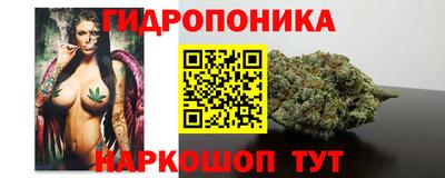 mdpv Кимры