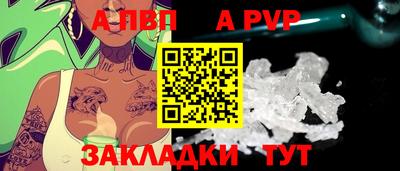 стаф Кинель